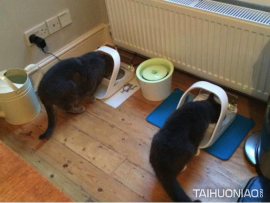 1562749362110088.png blob.png